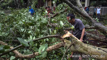 Typhoon Kammuri carves deadly path over Philippines