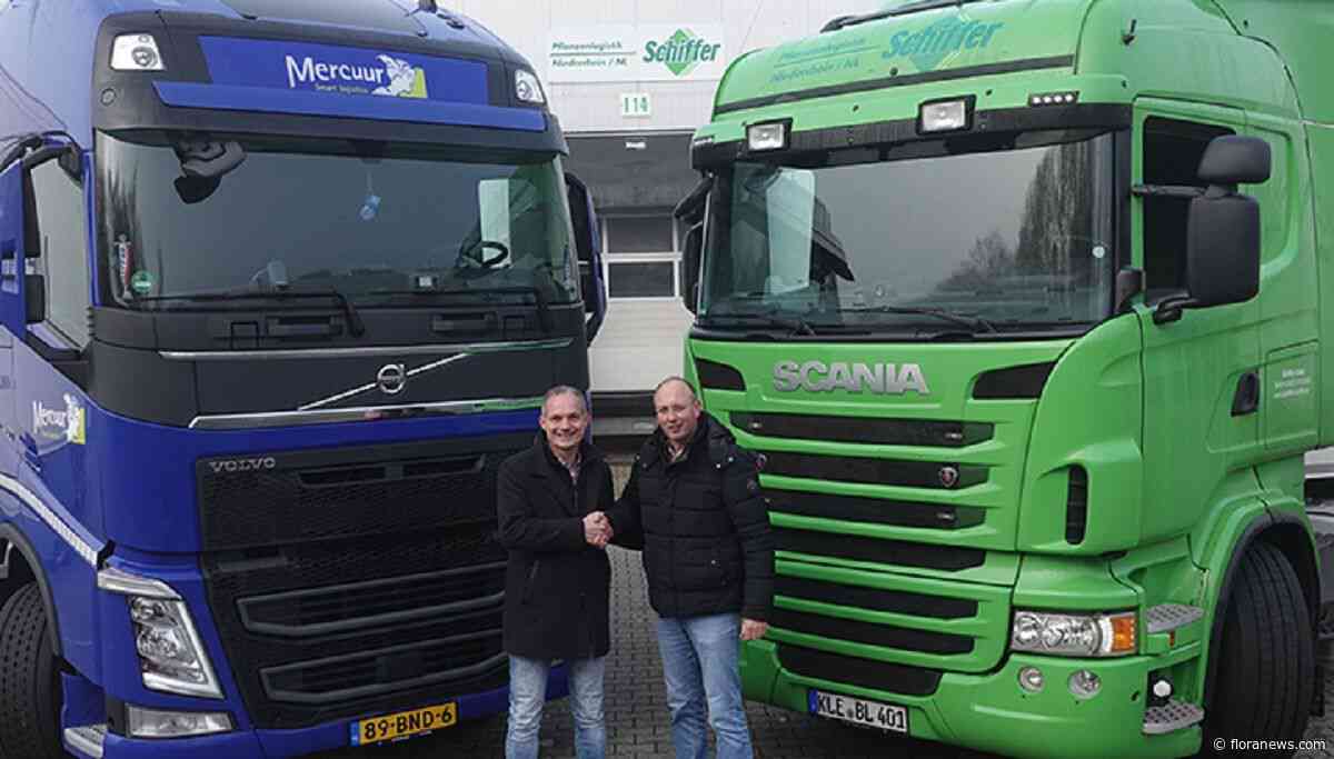 Mercuur Groep neemt Schiffer over