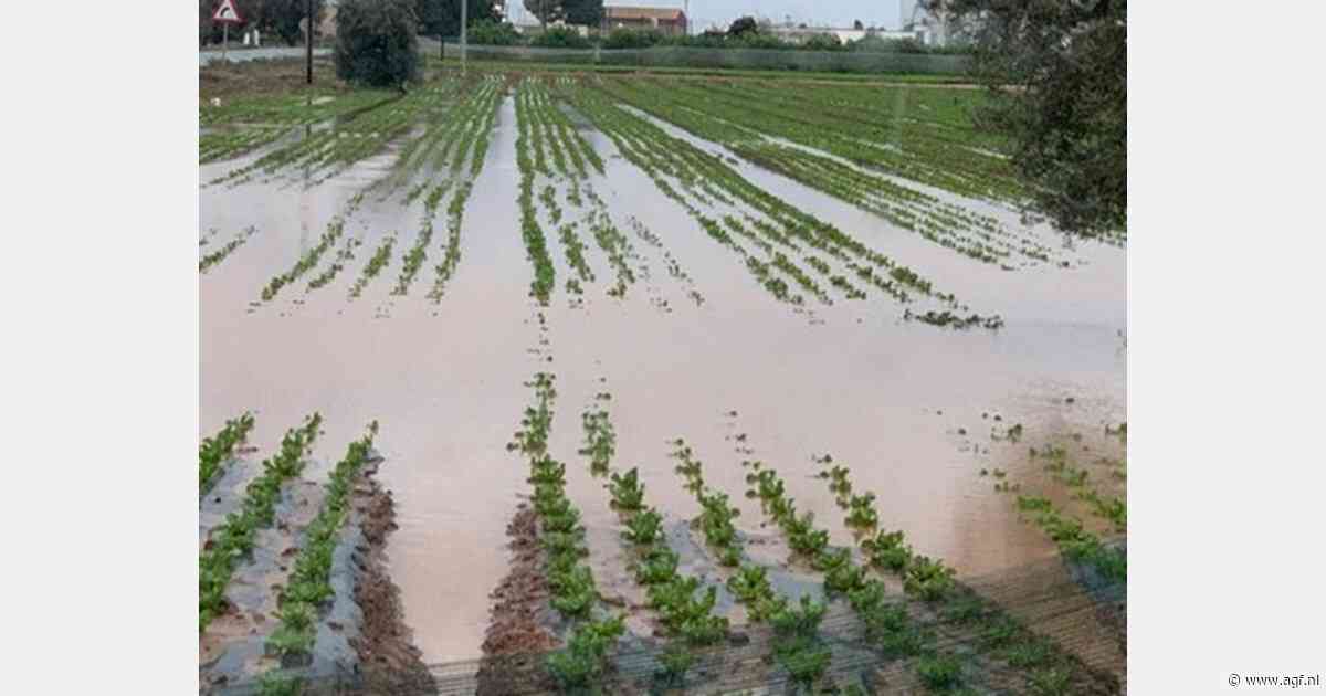 Spaanse teelt onpnieuw getroffen door noodweer