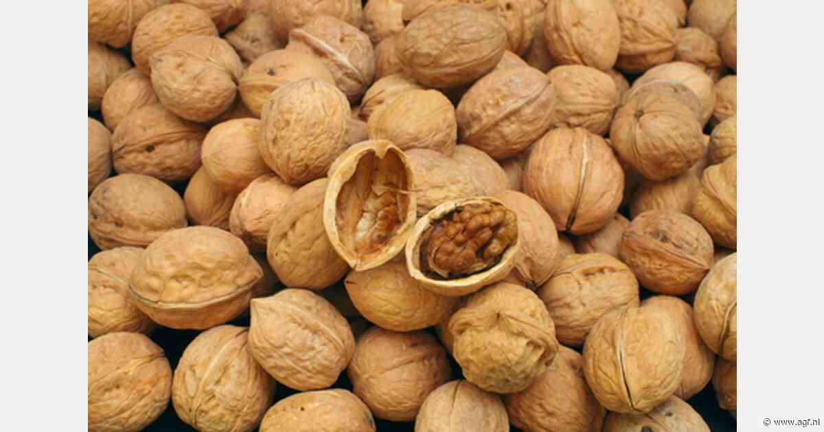 Noten, diepgevroren zachtfruit en appelen voornaamste exportproducten Oekraïne