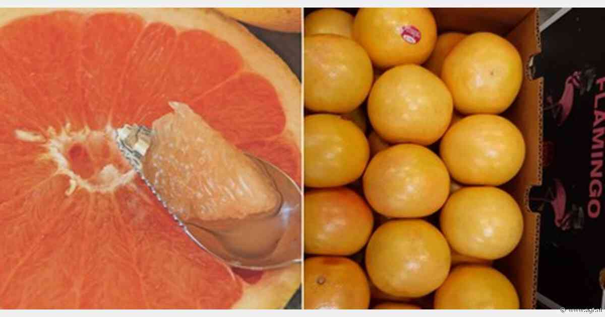 Florida grapefruit onder merk 'Flamingo' aangeboden
