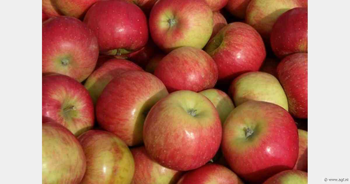 In december nog Noorse appelen in de winkel