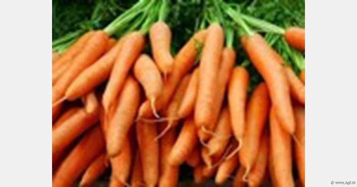 Tekort aan wortelen dreigt in VK na zware overstromingen