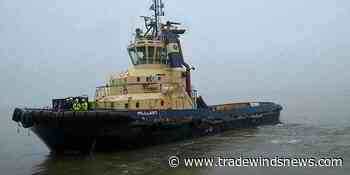 Svitzer criticised over safety after chief engineer falls to his death