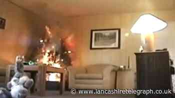 This is how long it takes for a Christmas tree fire to destroy a whole living room
