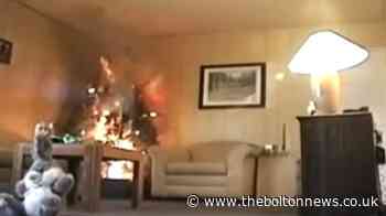 This is how long it takes for a Christmas tree fire to destroy a whole living room