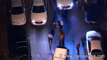 WATCH: Rogue Horse Leads Cops on Wild Chase in Philly