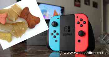 Customers buy Nintendo Switches from Amazon - get sent books, condoms and dog food