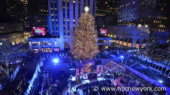 See It 24/7! The Rockefeller Center Christmas Tree