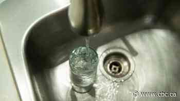 Professor questions Regina mayor's proposal to add phosphate to drinking water to fight lead