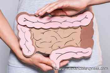 Gut health: What’s really making you sick?