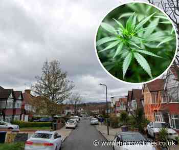 House and suspected cannabis factory in Wembley was on fire