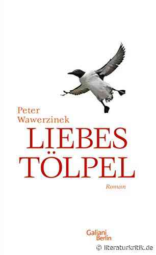 Nachrichten aus dem Liebesleben eines Ungeschickten