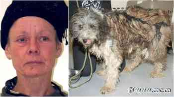 April Irving gets lifetime ban on owning dogs in Alberta