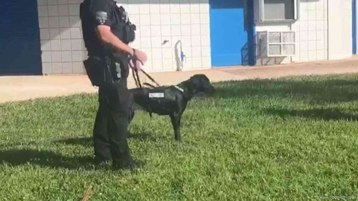 New K-9 Dog Taking Over at Schools in Coconut Creek
