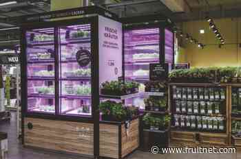Indoor vertical farms in further M&S stores