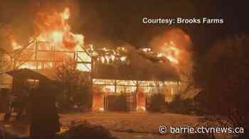 Massive blaze destroys historic barn in Mount Albert
