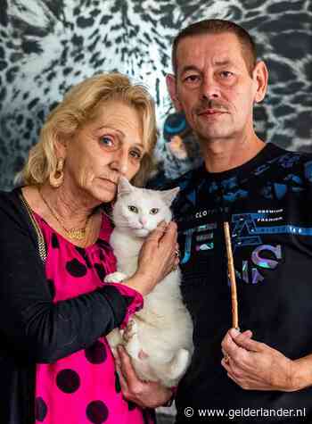 Woede en ongeloof om mishandelde kat Bello: ‘Er kwam een stok van 21,5 centimeter uit, en veel bloed’