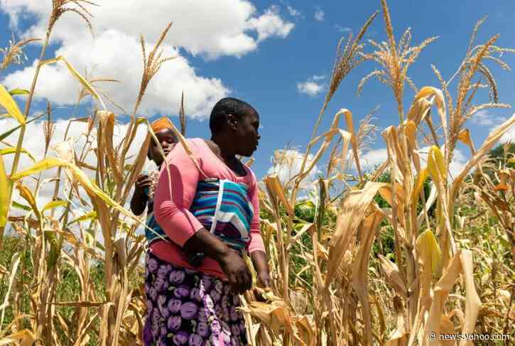UN appeals for aid to help millions of Zimbabweans buy food