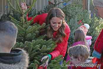 Het is al kerst bij Kate en William: ‘Die van ons staat al hoor’