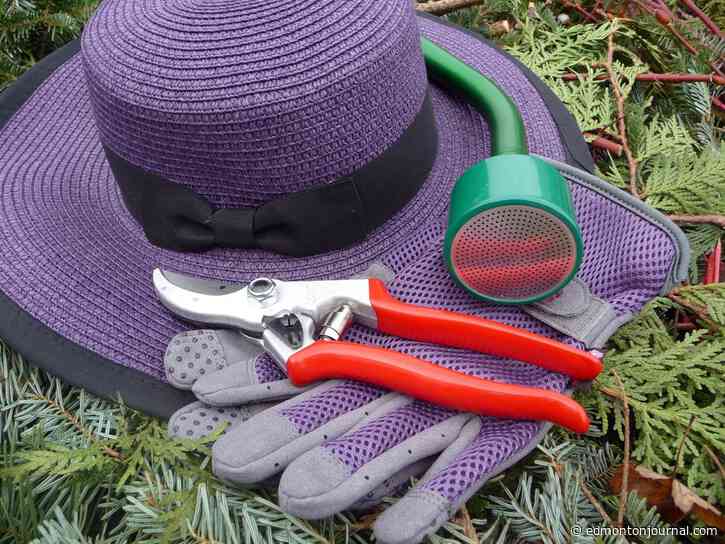 Growing Things: Gardening gift ideas for the green thumb in your life