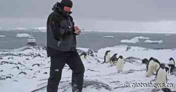 Climate change, overfishing affecting penguins: report