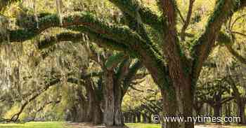 Pinterest and The Knot Pledge to Stop Promoting Plantation Weddings