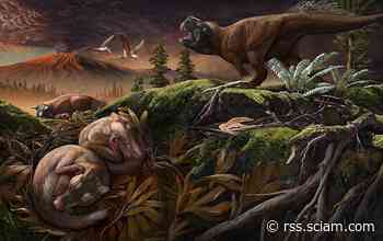 Now Hear This: New Fossils Reveal Early Ear-Bone Evolution