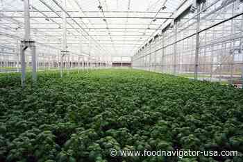 Gotham Greens expands hydroponic indoor farming mission to New England opening Rhode Island greenhouse
