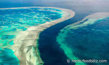 Australia's Great Barrier Reef Needs Insurance Against Climate Risks, Says Clyde & Co