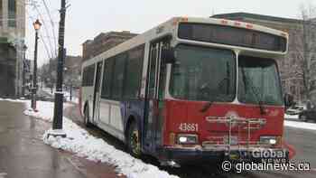 Saint John Transit to undergo ‘fundamental review’