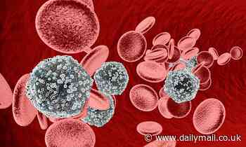 Hope for an HIV vaccine as scientists 're-engineer' the human immune system to fight the virus 