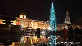Trafalgar Square Christmas tree lit after ‘sparse’ spruce jibes