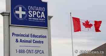 Ontario government passes new animal welfare legislation with stiffer penalties