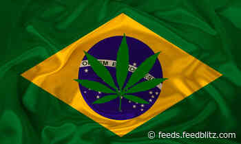 Brazil Joins Colombia, Uruguay in Regulating Medical Cannabis