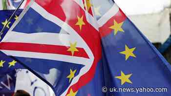 Pro-EU groups ask Jo Swinson to back ‘Boot Out Boris’ campaign