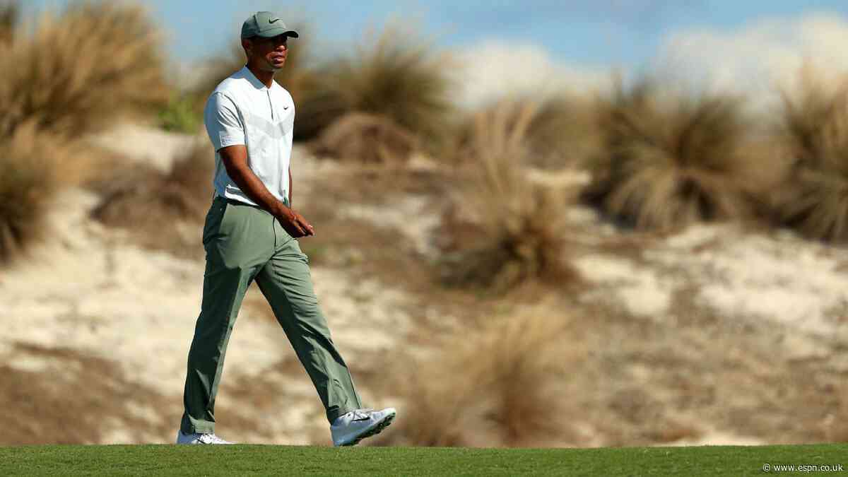Thanks to Tiger and Captain America, the Hero World Challenge has plenty of intrigue