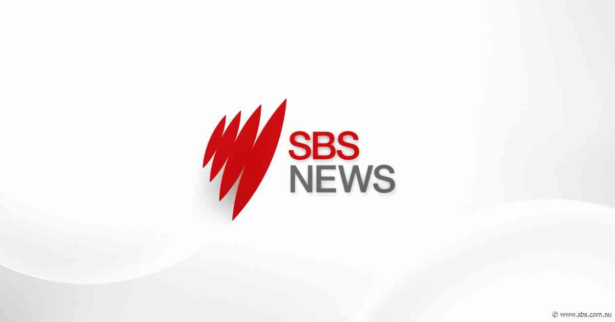 Climate change to 'destroy reef tourism'