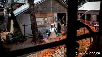 Violence against health workers complicating measles outbreak in Ebola-ravaged Congo