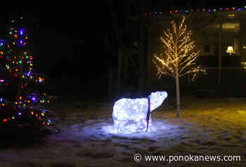 PHOTOS: It’s beginning to look a lot like Christmas …