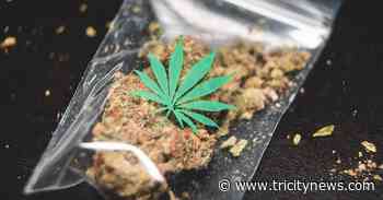 Port Moody gives green light to two cannabis shops, yellow light to two more