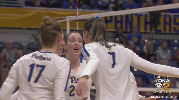 ‘We Are Definitely Not Close To Being Done Yet;” Pitt Volleyball Has High Hopes Headed Into NCAA Tournament