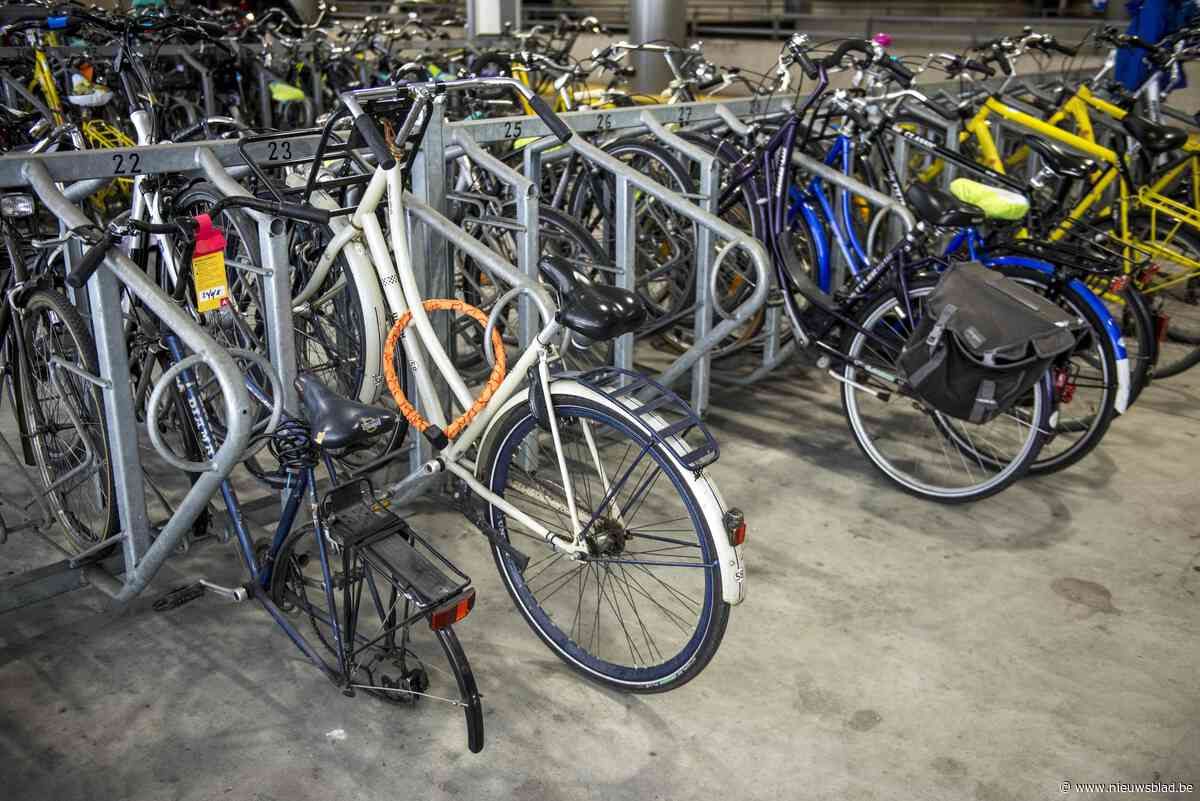 Zoals fietsenparking er nu bijligt, wil schepen er zelf niet voor betalen