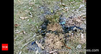 Woman’s burnt body found in WB, rape suspected