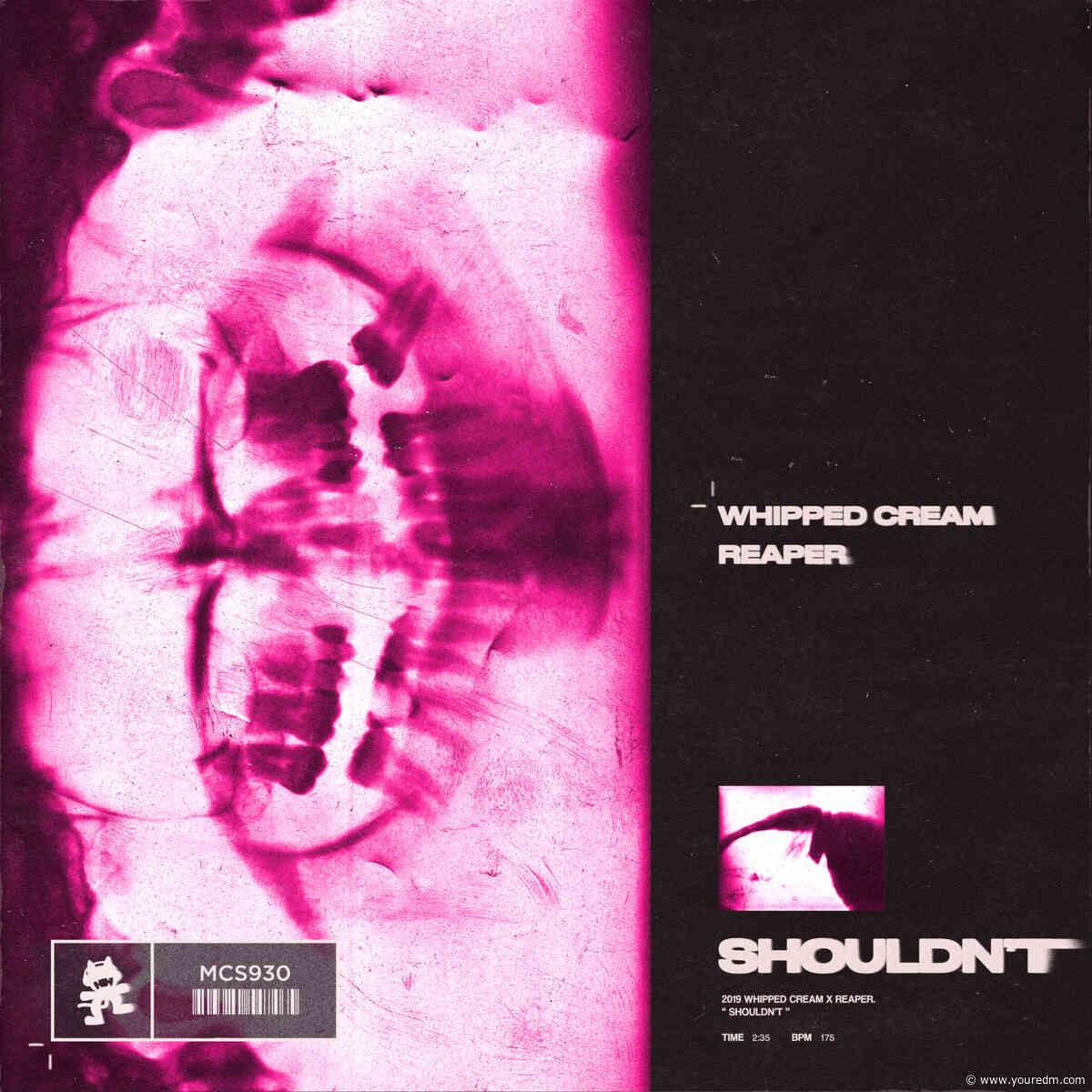 WHIPPED CREAM & REAPER Team Up For Bombastic Drum & Bass Banger, “Shouldn’t”