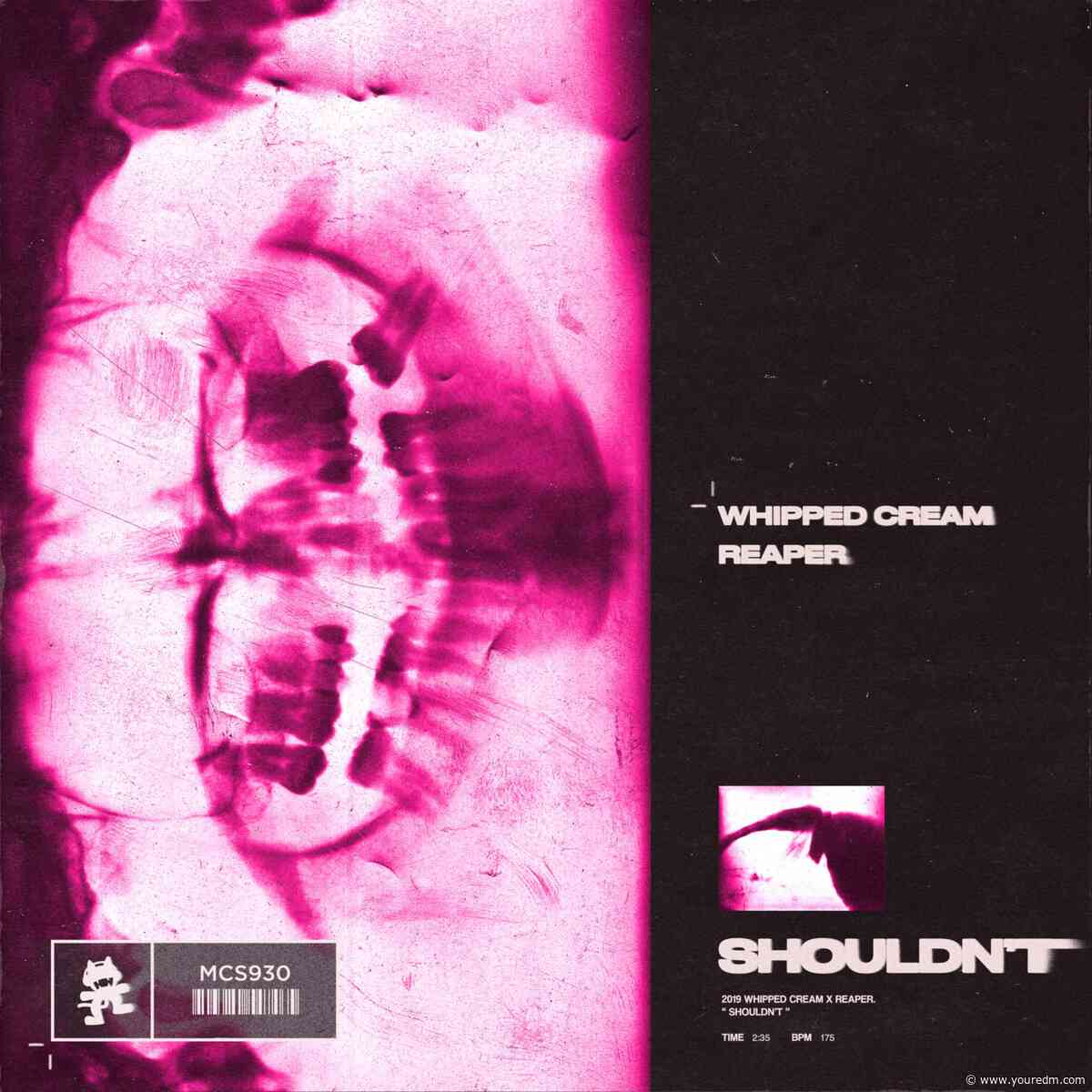 WHIPPED CREAM & REAPER Team Up For Bombastic Drum & Bass Banger, “Shouldn’t”