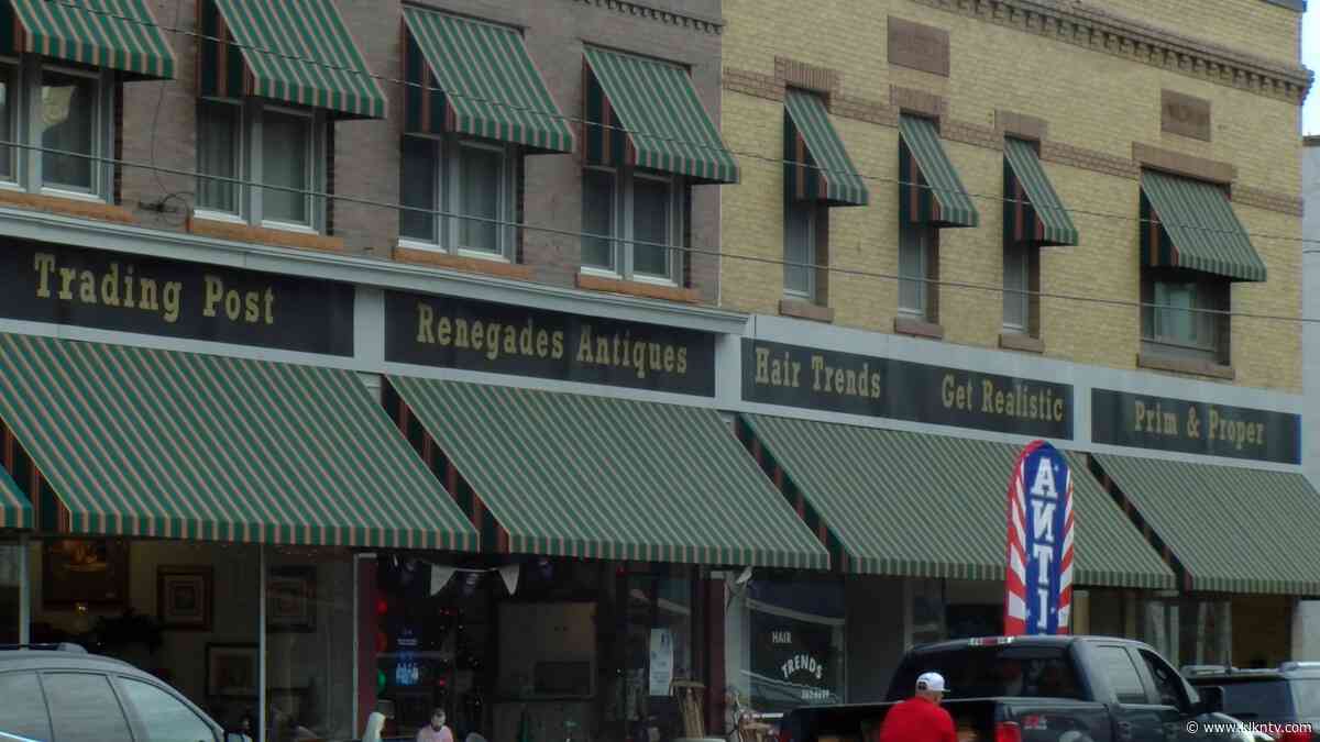 Multiple businesses fall victim to burglar in York