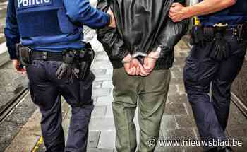 Politie kan drie verdachten van hele reeks diefstallen oppakken