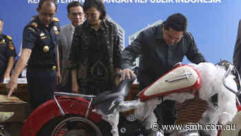 Indonesia to fire airline CEO over smuggling accusation
