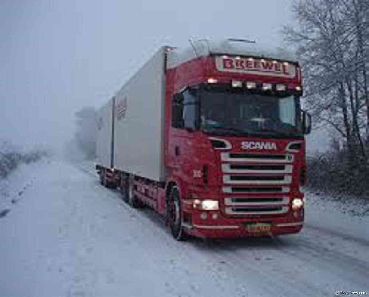 Nog een overname in de sierteeltlogistiek